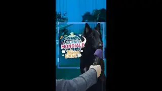 Journ&eacute;e mondiale du travail social &agrave; Differdange