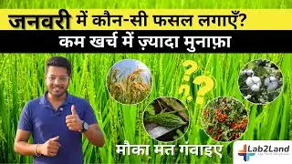 January Mein Kaunsi Fasal Lagaye? | Best Crops & Profit Planning 2026