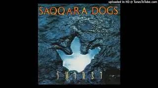 Saqqara Dogs - Witness Chamber