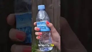 Can Mineral Water Really Expire? The Truth Will Shock You! 🤯 #shorts