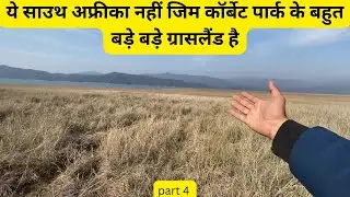 ये साउथ अफ्रीका नहीं जिम कॉर्बेट पार्क के बहुत बड़े बड़े ग्रासलैंड है #jimcorbett