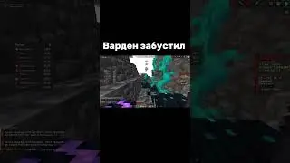 ВАРДЕН ПОМОГ УБИТЬ НЕЗЕРА  #pulsevisuals #funtime #hypixel