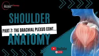 Brachial Plexus Lateral Cord | Complete Anatomy Breakdown