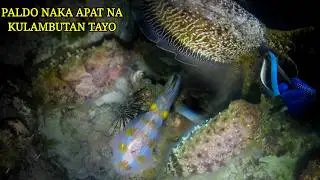 EP 470:  PALDO NAKA APAT NA KULAMBUTAN TAYO 🙏🙏
