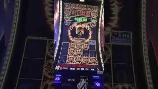 Phoenix Link Bonus Round WIN 🔥🎰💰