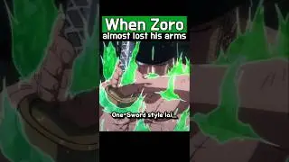 When Zoro Almost Lost His Arm (One Piece)