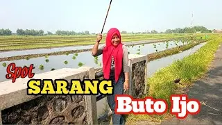 MANCING LIAR || Spot Parit Cangkring Krembung Sidoarjo