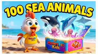 100 Sea Animals | Episode 1 | MysteryBox Kids