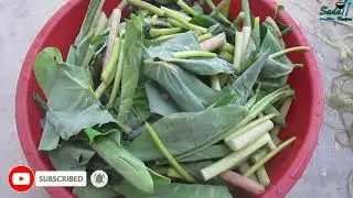 Karkalo Gava Pakaune Recipe Tarika | Karkalo Gava/Gaba Ko Tarkari | How to Cook Karkalo Gava