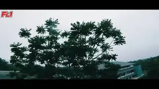 FPVlyfe - morning session