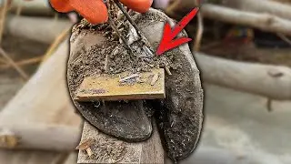 Removing of Nails, Nuts and Tons of Dirt l Satisfying Hoof Cleaning