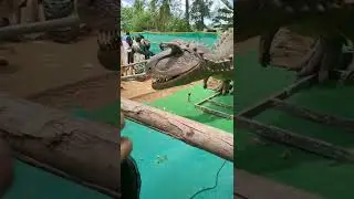 #zoo #vandalur zoo #animals #2022 #dragon #shorts #show #museum #park #poonga #kangaachi #chennai #1