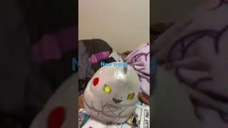 Squishmallow trend