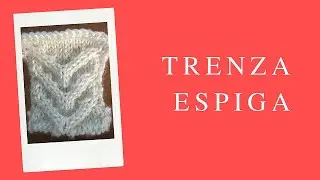 Trenza espiga.