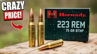 The REAL Reason Why .223 Ammo Prices Are SKYROCKETING!