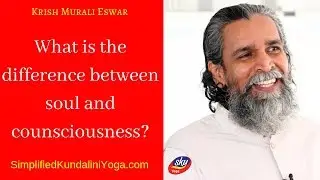 What is the difference between soul and counsciousness?