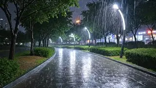 Night Rain on a City Park Path | 10 Hours White Noise for Deep Sleep (Black Screen After 5 Min)