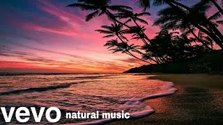 Beautiful nature | Motion picture | Gives peace of mind | vevo natural music
