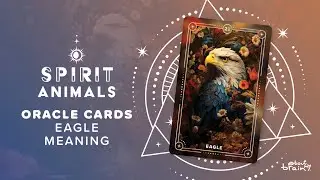 Eagle Spirit Animal | Symbolism & Meaning Explained