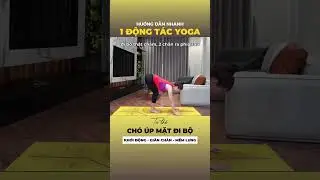 Nguyễn Hiếu Yoga hướng dẫn c&aacute;c động t&aacute;c Yoga Cơ Bản:Ch&oacute; &uacute;p mặt#nguyenhieuyoga  #shorts  #yoga