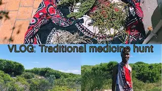 Vlog: Hunting for traditional medicine | Tabisocial_rsa | South African Youtuber