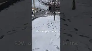 2nd Snowfall in NYC ❄️ Cleaning Snow Off My Cars | NYC Winter Vibes
