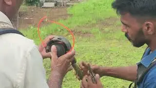 Grass Cutting with Plastic Thread