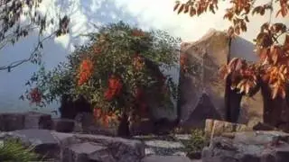 The Chinese Scholar's Garden