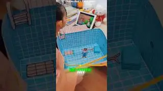 🏊&zwj;♂️🔐📦 Poolside Escape Room Mystery Box#funny
