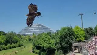 beauval maitres des airs