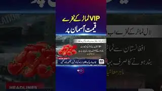 Tomato Crisis in Pakistan &mdash; Prices Reach Record Highs | 365 Plus