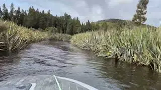 Lake Brunner, Crooked River, Lady Lake