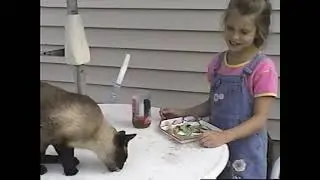 HEIDI FEEDS HER CAT AND DOG