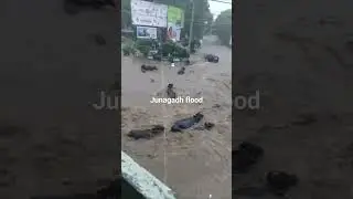 Junagadh heavy rain #Flood #monsoonphotography #lion #junagadh #live