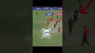 Glenn Phillips On Fire🔥SA vs NZ  #cricket #cricketlover #championstrophy2025