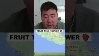 Fruit Tree Knower #geography #geoguessr #geowizard #georainbolt #googlemaps #shorts