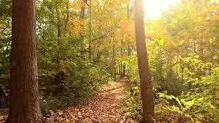 Capturing the Serenity of Fall&rsquo;s Splendor