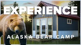 Experience Nat Hab's Alaska Bear Camp