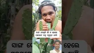 କଳିଯୁଗ ପଶୁ 🙄 || #odia #song #music Sambalpuri status video#dance#short #viral #shortsfeed #trending