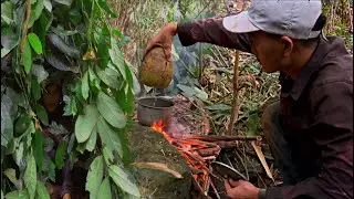 24 Hours Building a Jungle Hut & Foraging for Food | Extreme Rainforest Survival