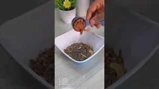 7 Days of Healthy Breakfast | Day 1