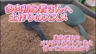 【多肉の用土作り】多肉の土は誰にでも作れます💖初心者さんも挑戦してみよう✊✨【植え替えの季節】