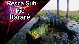 PESCA SUB 2021- RIO ITARAR&Eacute;!!
