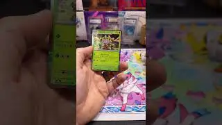 Big guy chompy hunt #pokemon #pokemonchannel #collectiblecards #pokemoncards #pokemontcg #garchomp