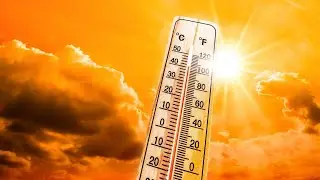 Beat the heatwave- Stay cool, stay safe
