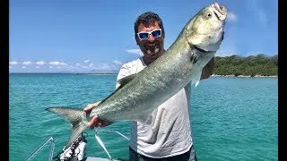 Megalo gofari