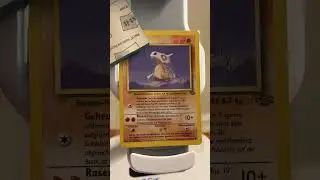 Сможете угадать этого покемона? Спорим, нет. #pokemon