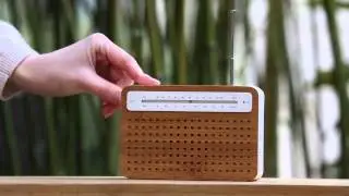 LEXON DESIGN - SAFE RADIO