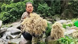 Harvest palanquins for sale