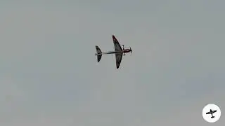 F3A P-21 PRELIMINARY SCHEDULE | Sebart Zeus 2m | Winning Flight | Cisalpino Novara